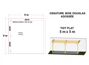 OSSATURE DOUGLAS ADOSSÉE TOIT PLAT