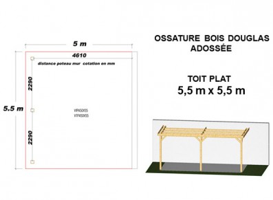 OSSATURE DOUGLAS ADOSSÉE TOIT PLAT