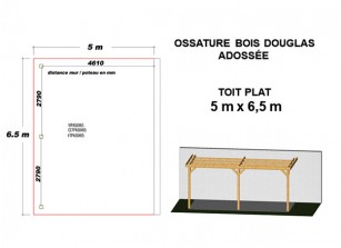 OSSATURE DOUGLAS ADOSSÉE TOIT PLAT