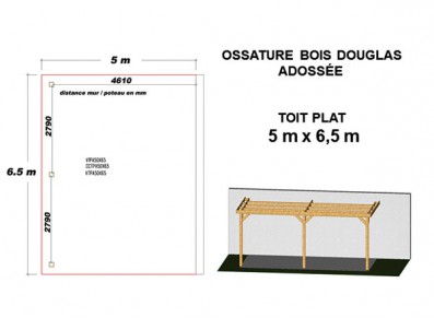 OSSATURE DOUGLAS ADOSSÉE TOIT PLAT