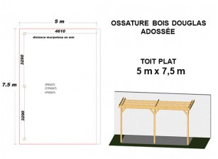 OSSATURE DOUGLAS ADOSSÉE TOIT PLAT