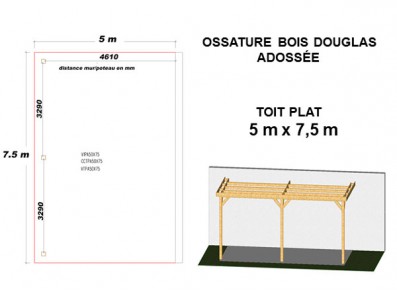 OSSATURE DOUGLAS ADOSSÉE TOIT PLAT