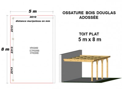 OSSATURE DOUGLAS ADOSSÉE TOIT PLAT