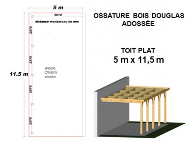 OSSATURE DOUGLAS ADOSSÉE TOIT PLAT