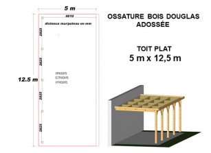 OSSATURE DOUGLAS ADOSSÉE TOIT PLAT