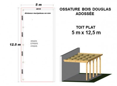 OSSATURE DOUGLAS ADOSSÉE TOIT PLAT