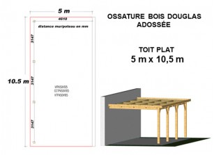 OSSATURE DOUGLAS ADOSSÉE TOIT PLAT