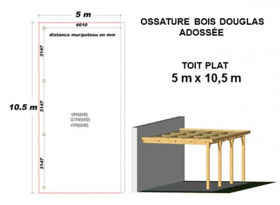 OSSATURE DOUGLAS ADOSSÉE TOIT PLAT