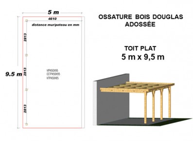 OSSATURE DOUGLAS ADOSSÉE TOIT PLAT