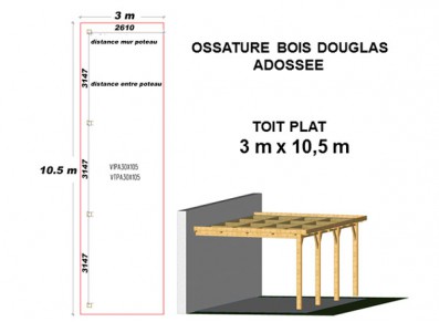 OSSATURE DOUGLAS ADOSSÉE TOIT PLAT