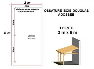 OSSATURE DOUGLAS ADOSSÉE TOIT MONO PENTE