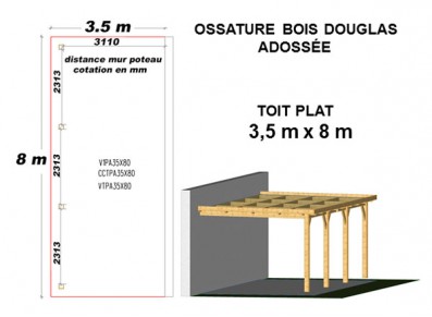 OSSATURE DOUGLAS ADOSSÉE TOIT PLAT