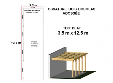 OSSATURE DOUGLAS ADOSSÉE TOIT PLAT