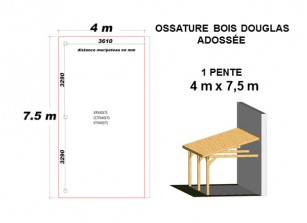 OSSATURE DOUGLAS ADOSSÉE TOIT MONO PENTE