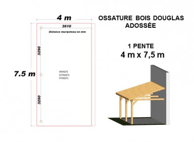 OSSATURE DOUGLAS ADOSSÉE TOIT MONO PENTE