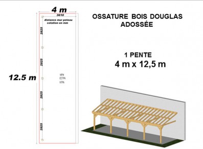 OSSATURE DOUGLAS ADOSSÉE TOIT MONO PENTE