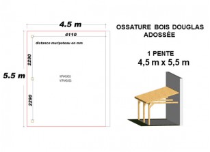 OSSATURE DOUGLAS ADOSSÉE TOIT MONO PENTE