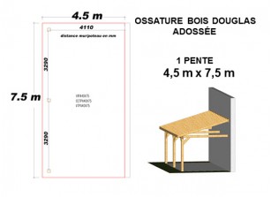 OSSATURE DOUGLAS ADOSSÉE TOIT MONO PENTE