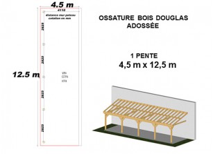 OSSATURE DOUGLAS ADOSSÉE TOIT MONO PENTE