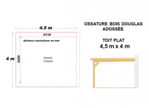 OSSATURE DOUGLAS ADOSSÉE TOIT PLAT