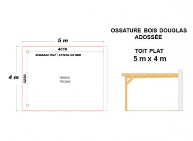 OSSATURE DOUGLAS ADOSSÉE TOIT PLAT