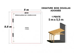 OSSATURE DOUGLAS ADOSSÉE TOIT MONO PENTE