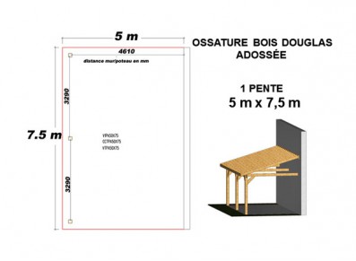 OSSATURE DOUGLAS ADOSSÉE TOIT MONO PENTE