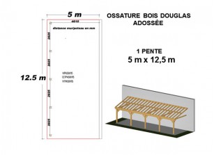 OSSATURE DOUGLAS ADOSSÉE TOIT MONO PENTE