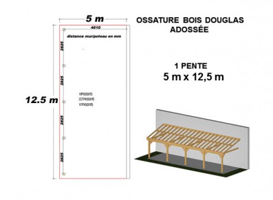 OSSATURE DOUGLAS ADOSSÉE TOIT MONO PENTE