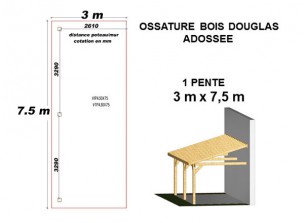 OSSATURE DOUGLAS ADOSSÉE TOIT MONO PENTE