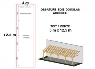 OSSATURE DOUGLAS ADOSSÉE TOIT MONO PENTE