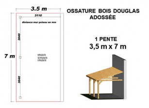 OSSATURE DOUGLAS ADOSSÉE TOIT MONO PENTE