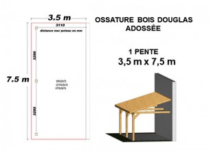 OSSATURE DOUGLAS ADOSSÉE TOIT MONO PENTE