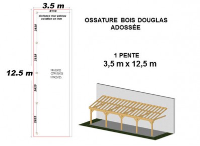 OSSATURE DOUGLAS ADOSSÉE TOIT MONO PENTE