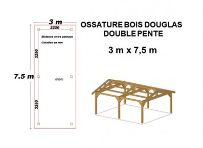 OSSATURE DOUGLAS DOUBLE PENTE