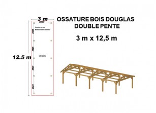 OSSATURE DOUGLAS DOUBLE PENTE