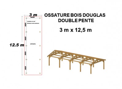 OSSATURE DOUGLAS DOUBLE PENTE