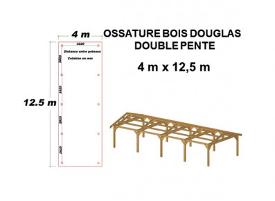 OSSATURE DOUGLAS DOUBLE PENTE