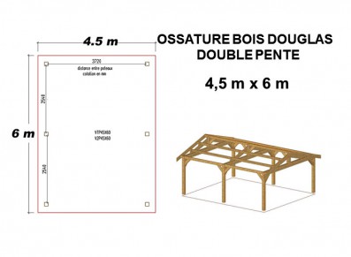 OSSATURE DOUGLAS DOUBLE PENTE