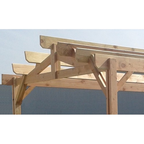 OSSATURE DOUGLAS DOUBLE PENTE