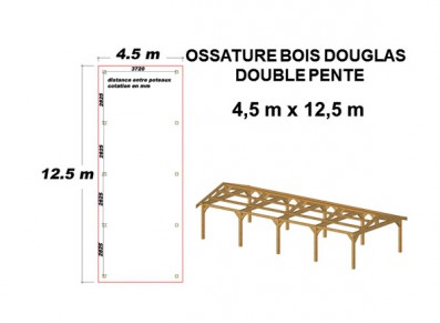 OSSATURE DOUGLAS DOUBLE PENTE