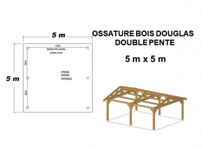 OSSATURE MOISÉE DOUBLE PENTE EN BOIS DOUGLAS