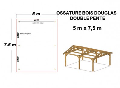 OSSATURE DOUGLAS DOUBLE PENTE