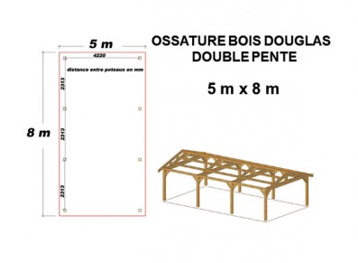 OSSATURE DOUGLAS DOUBLE PENTE