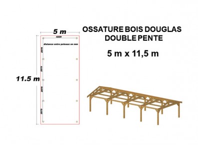 OSSATURE DOUGLAS DOUBLE PENTE