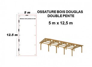 OSSATURE DOUGLAS DOUBLE PENTE