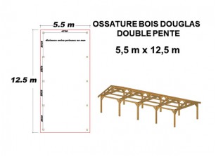 KIT CHARPENTE DOUBLE PENTE EN BOIS DOUGLAS 