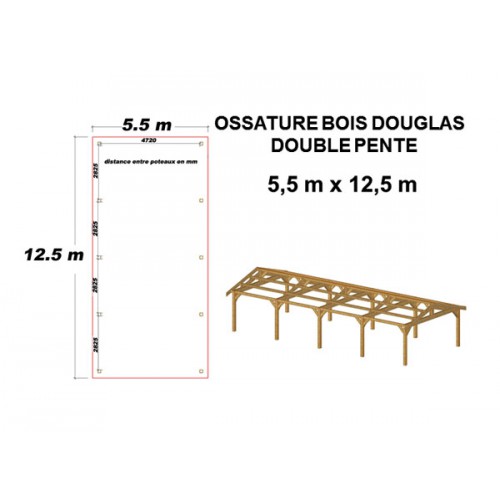 KIT CHARPENTE DOUBLE PENTE EN BOIS DOUGLAS 