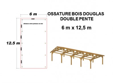 OSSATURE DOUGLAS DOUBLE PENTE