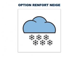 OPTION RENFORT NEIGE - VENDU AVEC CARPORT